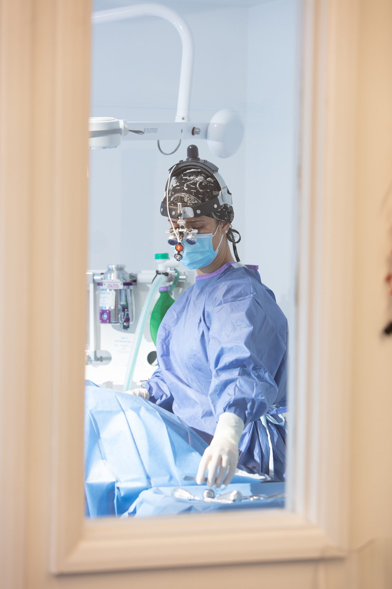 Alba Troya, veterinary surgeon