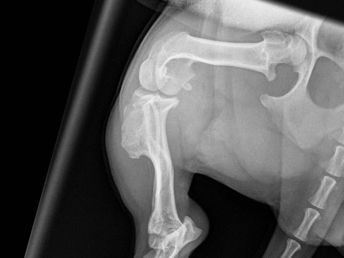 Pre-op pseudo cd-cr view