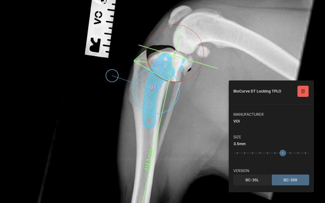 Case 04 — Luna — Cranial Cruciate Ligament rupture · TPLO