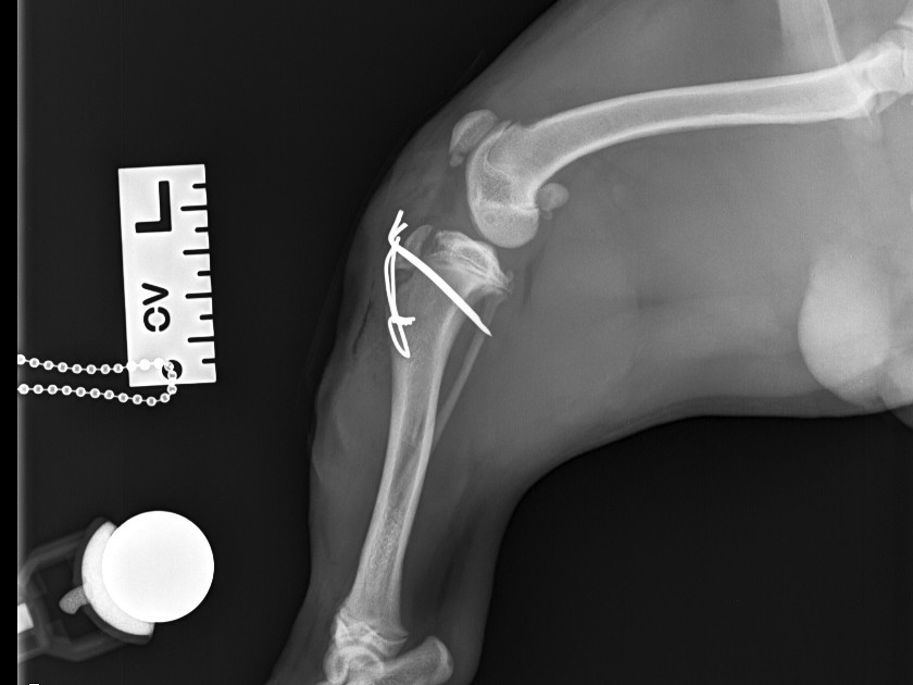 Post-op lateral view