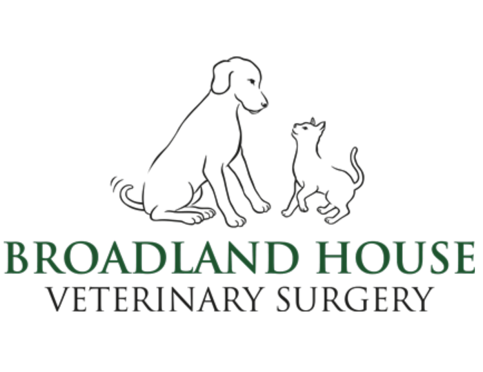 Broadland House Veterinary Surgery