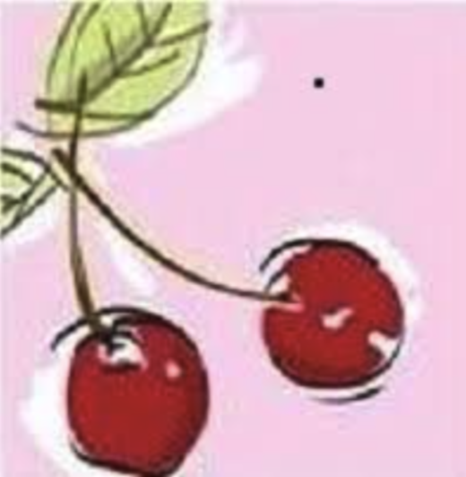 Cherry Tree Vets